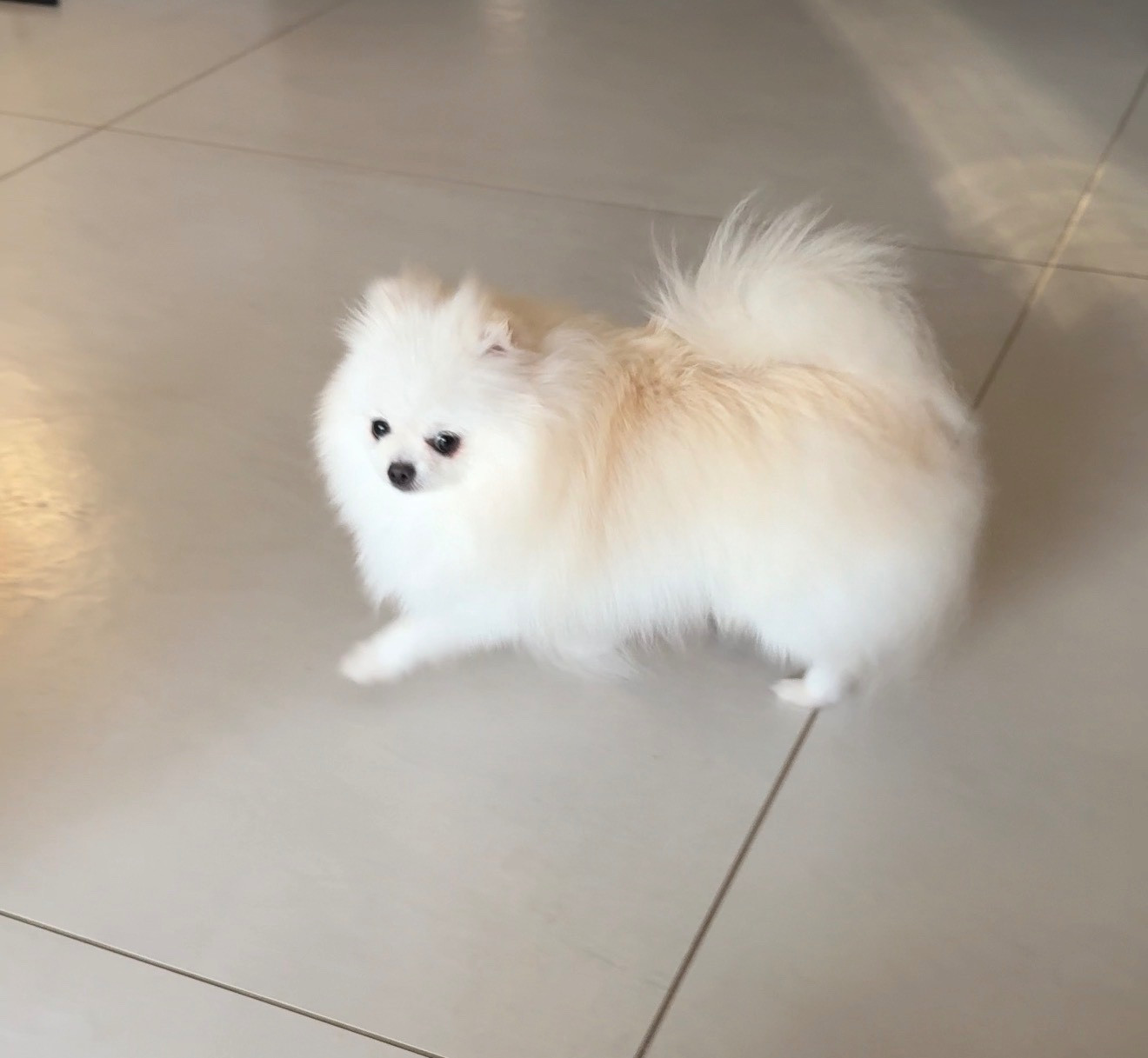 Yustina iz zolotogo sunduchka